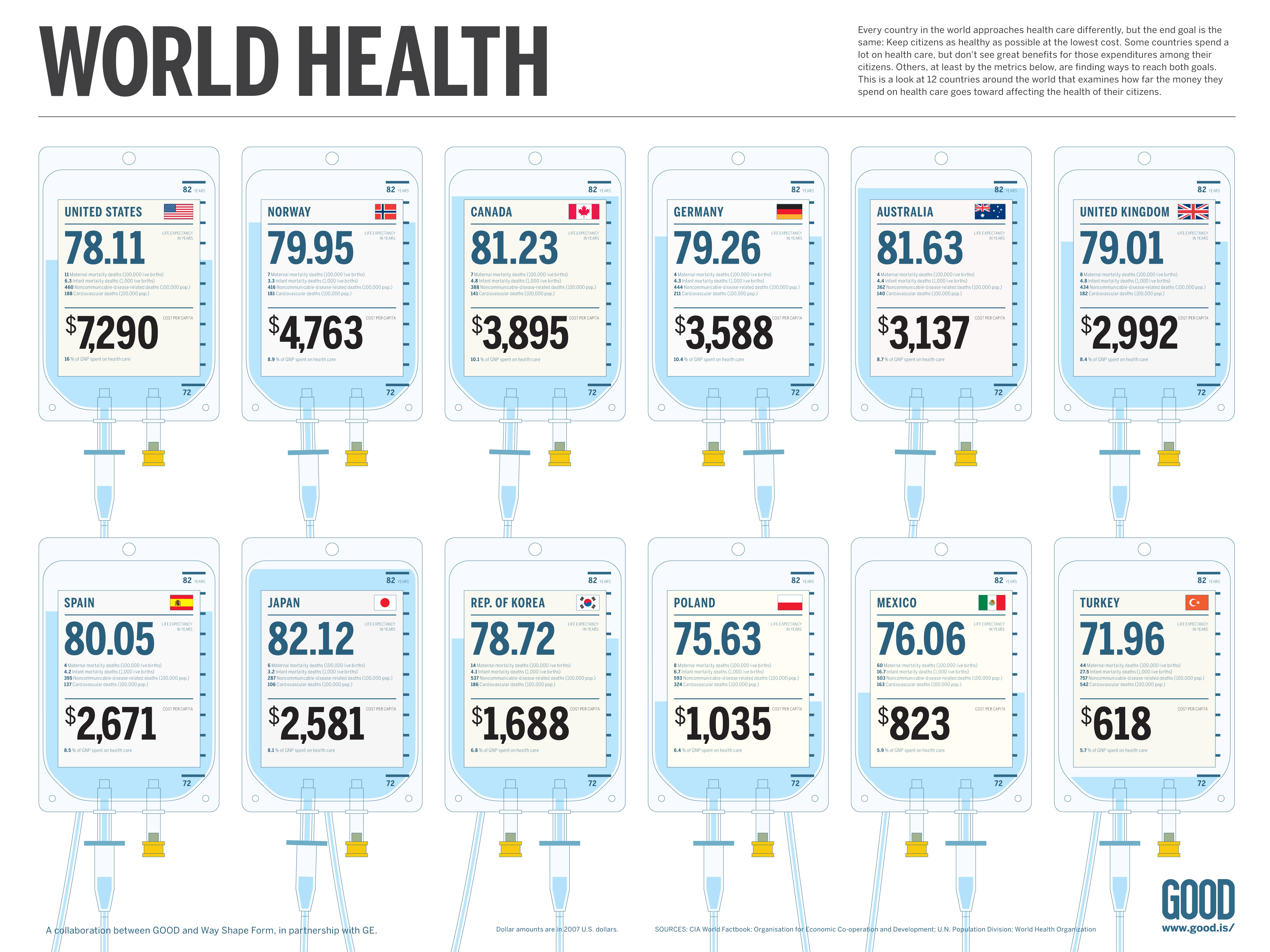 InfoGraphic on World life Expectancy and Cost