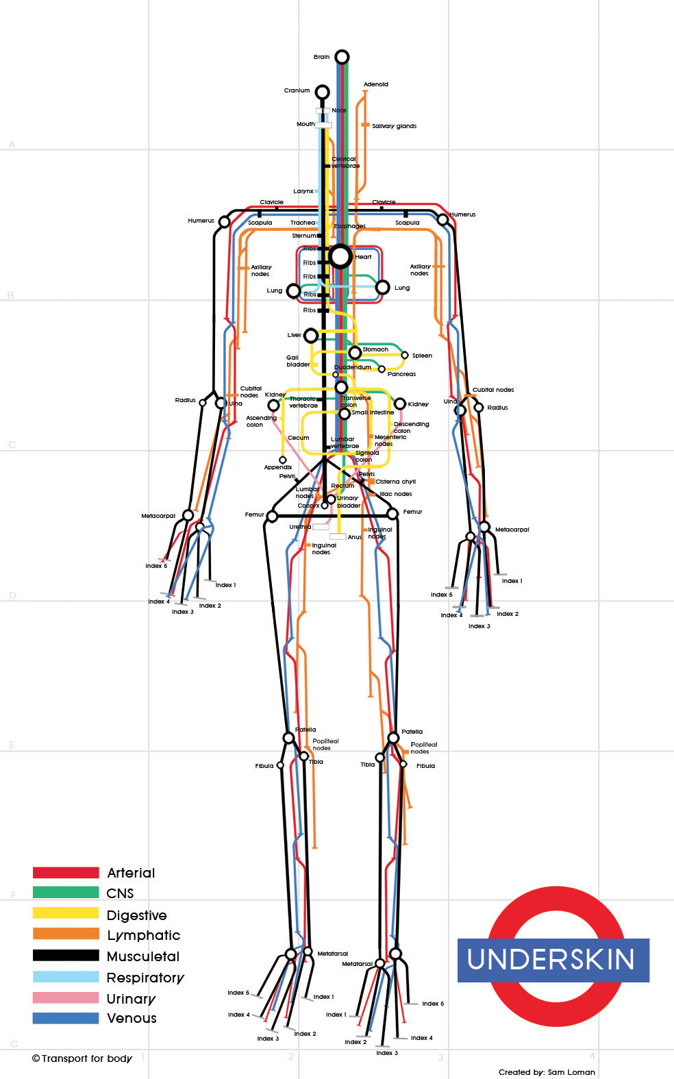 Simplified mapping of our under-skin body,