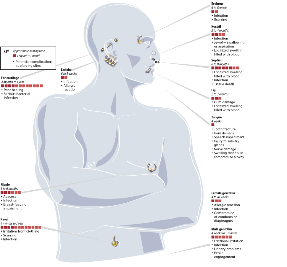 InfoGraphic on Body Piercing healing time,