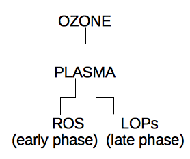Scheme 1: Ozone dissolved in plasmatic water