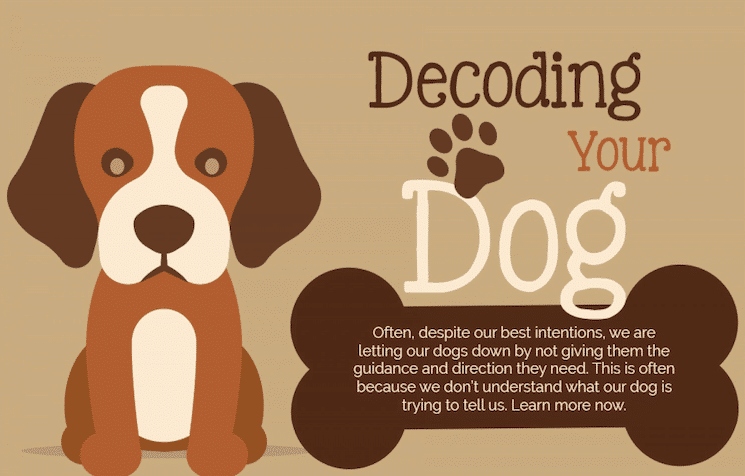 [InfoGraphic] Decoding Your Dog